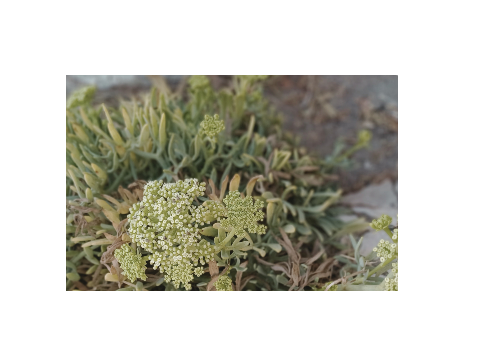 Liebevolles für dein Wohlbefinden