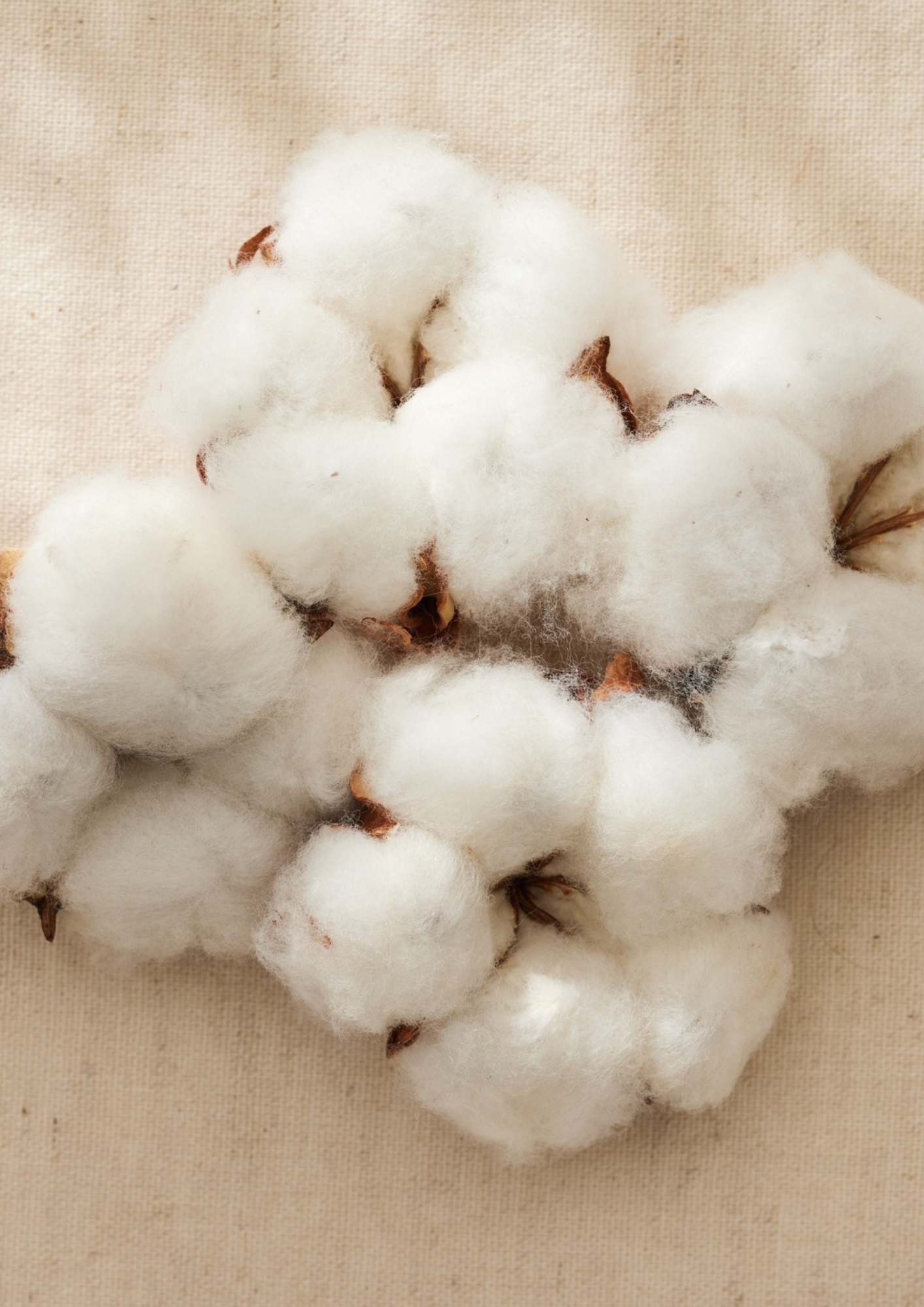 Herzensdinge aus der Natur